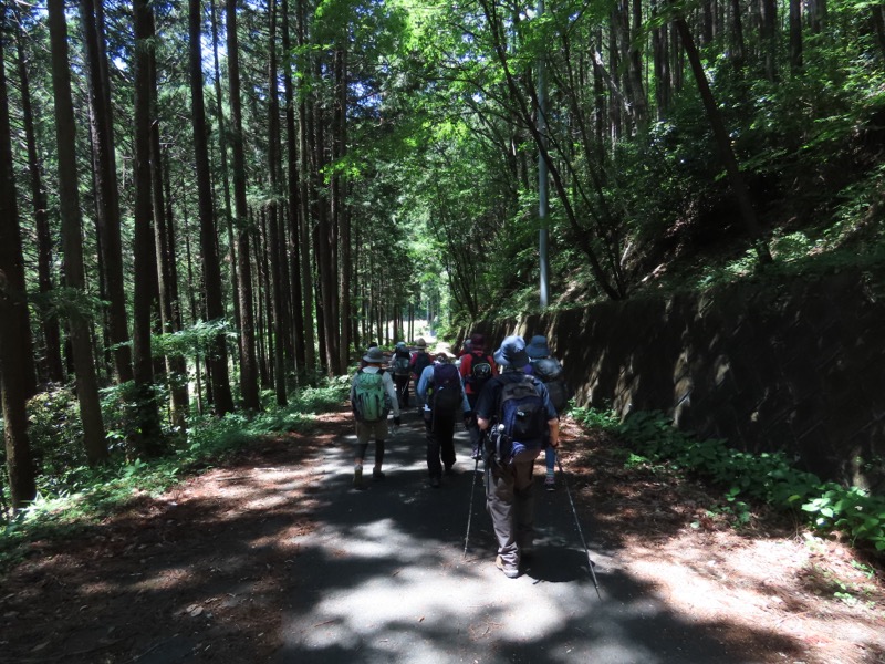 堂平山、ときがわトレッキング