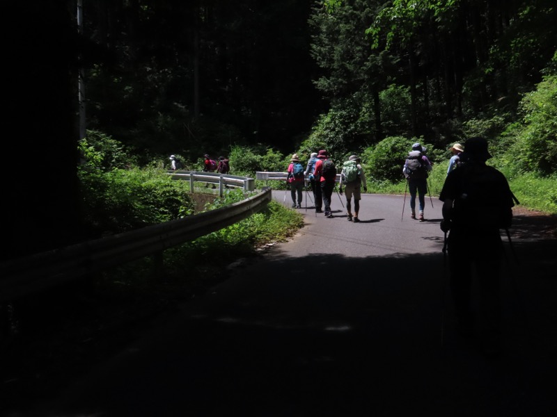 堂平山、ときがわトレッキング