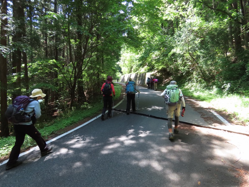 堂平山、ときがわトレッキング