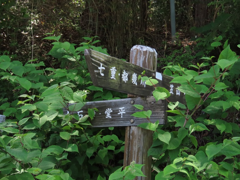 堂平山、ときがわトレッキング