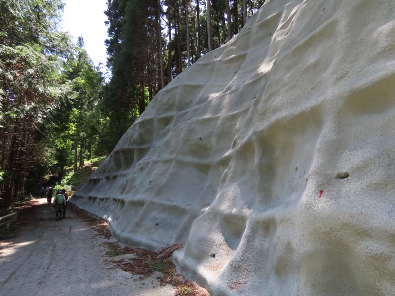 堂平山、ときがわトレッキング