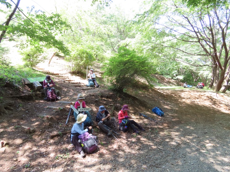 堂平山、ときがわトレッキング