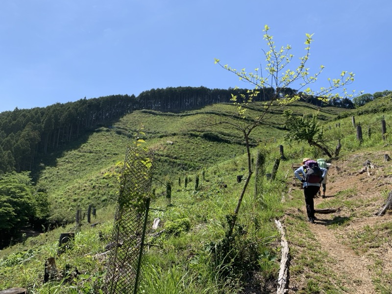 堂平山、ときがわトレッキング