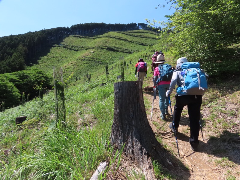 堂平山、ときがわトレッキング