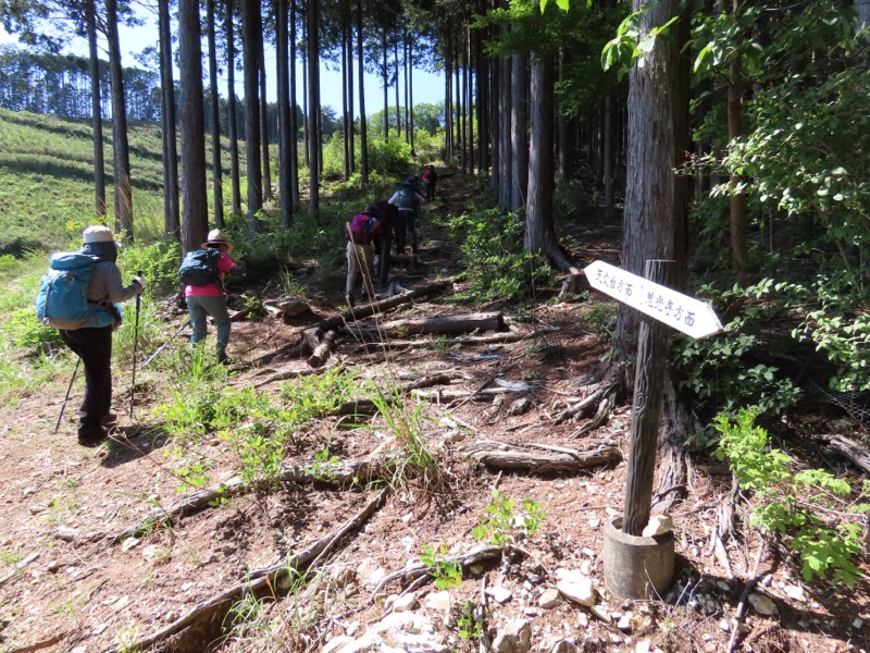 堂平山、ときがわトレッキング