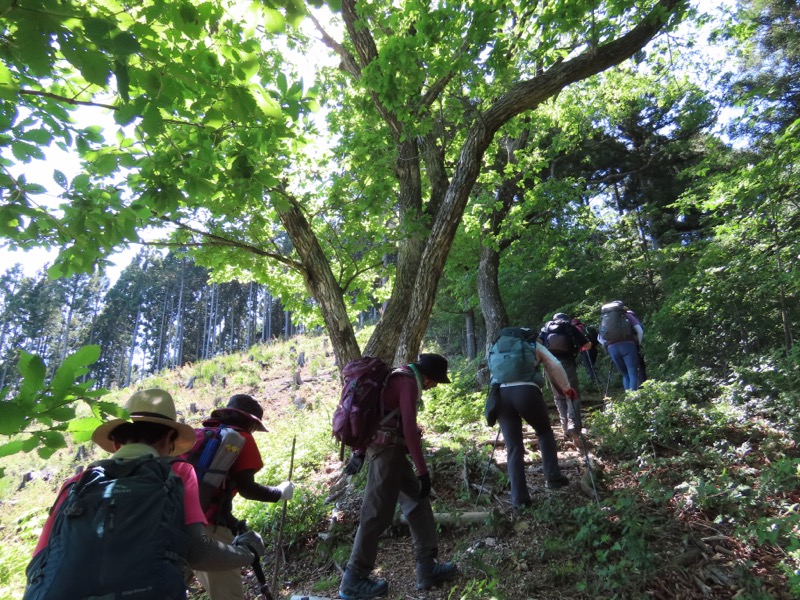 堂平山、ときがわトレッキング