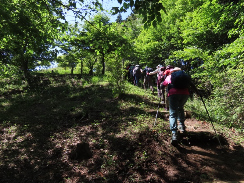 堂平山、ときがわトレッキング