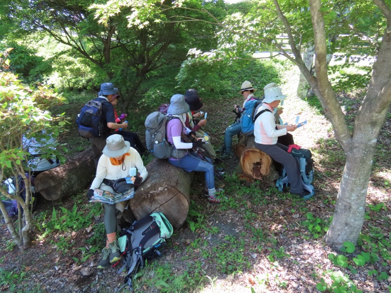 堂平山、ときがわトレッキング