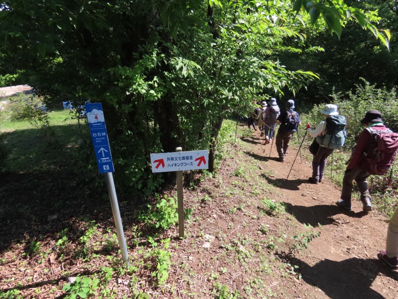 堂平山、ときがわトレッキング