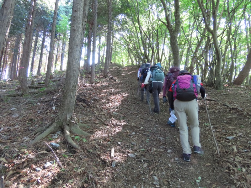 堂平山、ときがわトレッキング