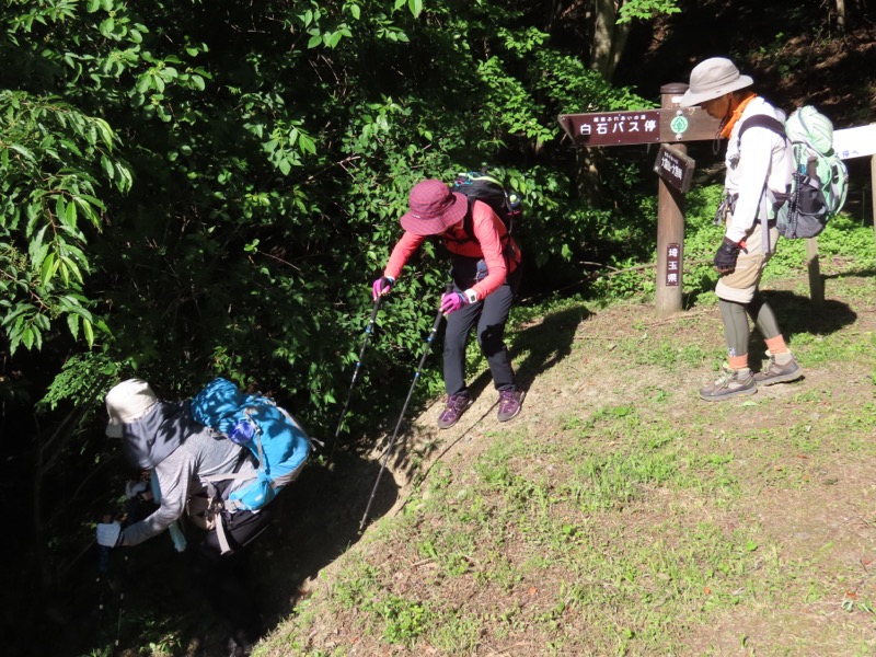 堂平山、ときがわトレッキング