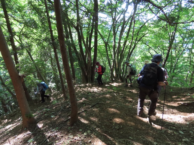 堂平山、ときがわトレッキング