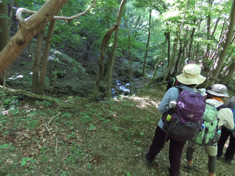 堂平山、ときがわトレッキング