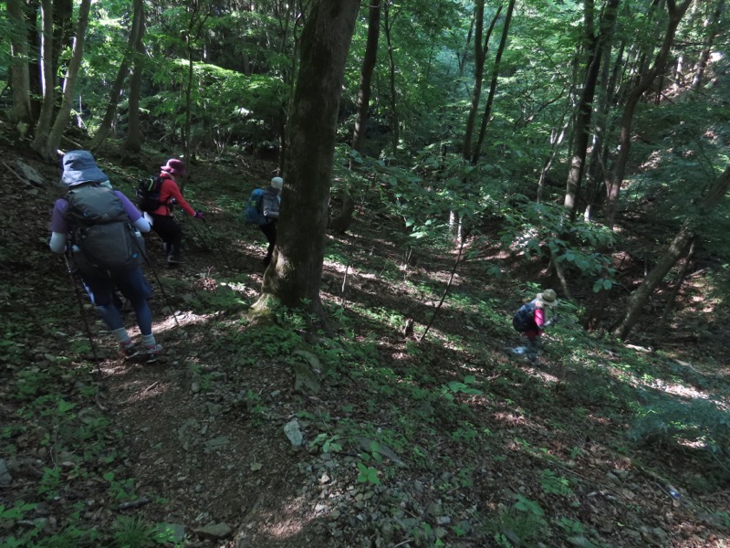 堂平山、ときがわトレッキング