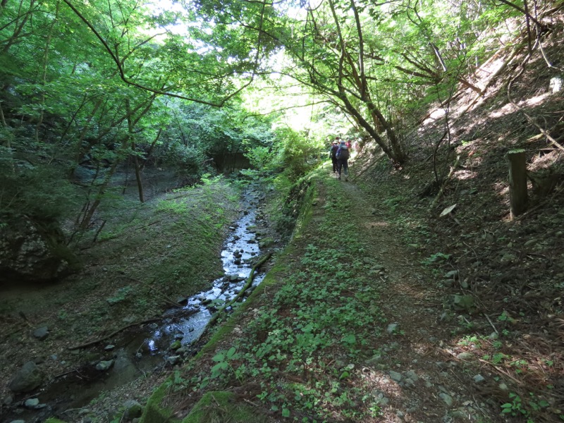 堂平山、ときがわトレッキング