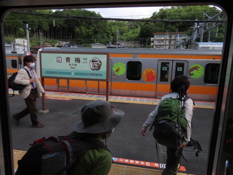 赤ぼっこ、長渕山ハイキングコース