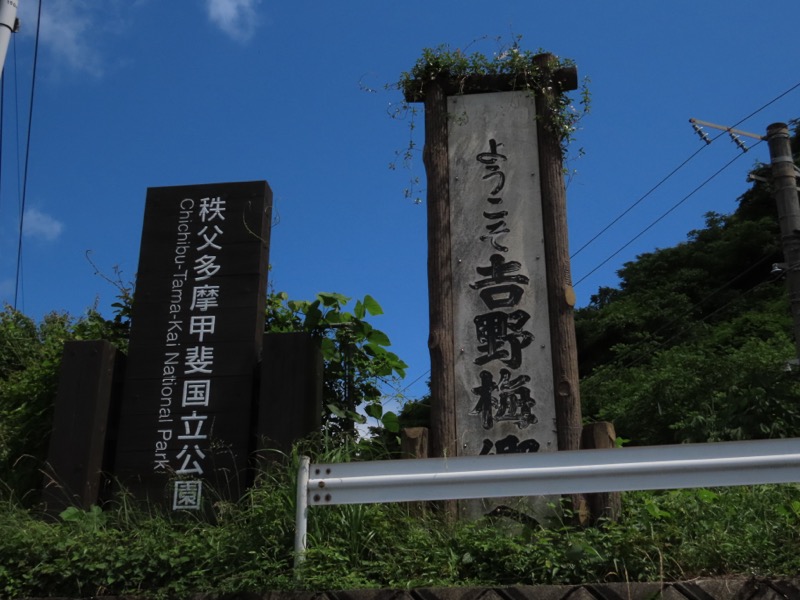 赤ぼっこ、長渕山ハイキングコース