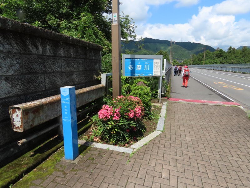 赤ぼっこ、長渕山ハイキングコース