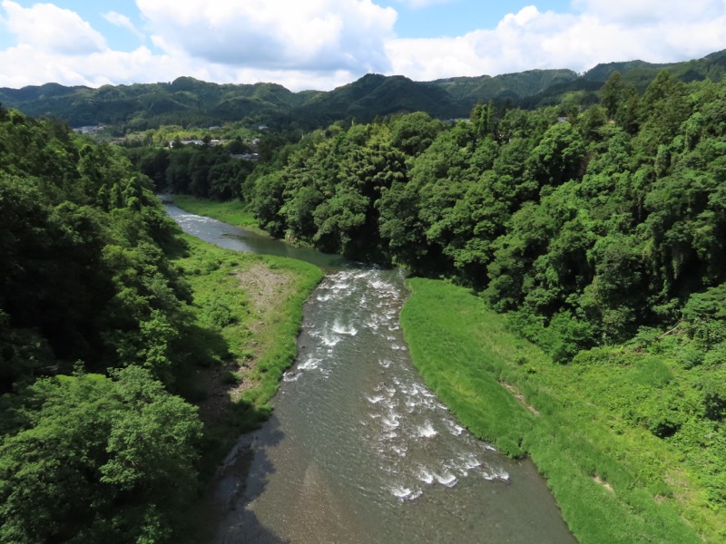 赤ぼっこ、長渕山ハイキングコース