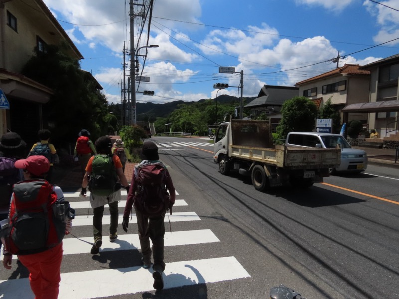 赤ぼっこ、長渕山ハイキングコース