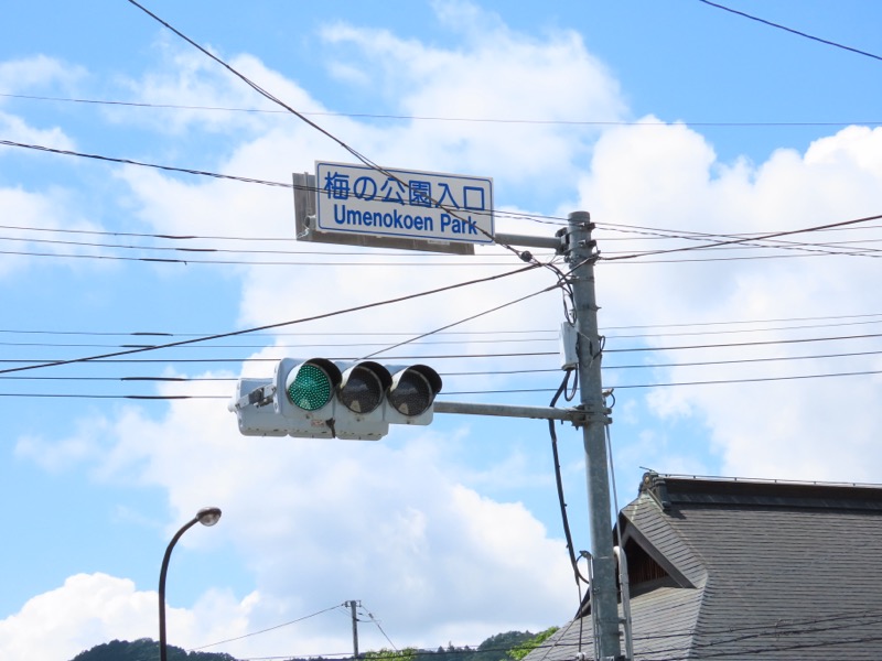 赤ぼっこ、長渕山ハイキングコース