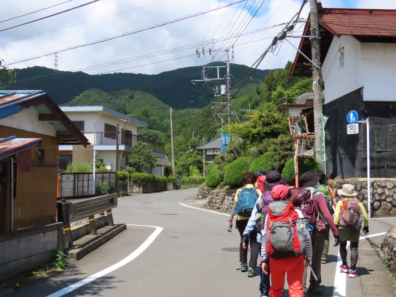 赤ぼっこ、長渕山ハイキングコース