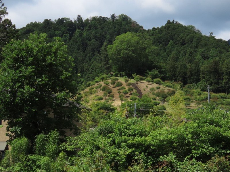 赤ぼっこ、長渕山ハイキングコース