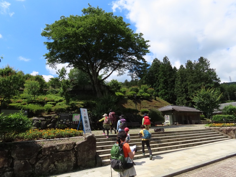 赤ぼっこ、長渕山ハイキングコース