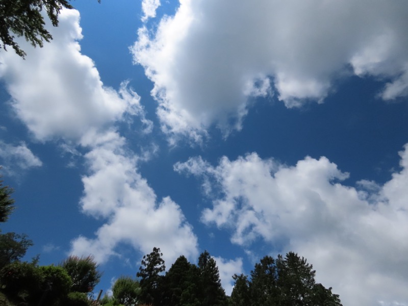 赤ぼっこ、長渕山ハイキングコース