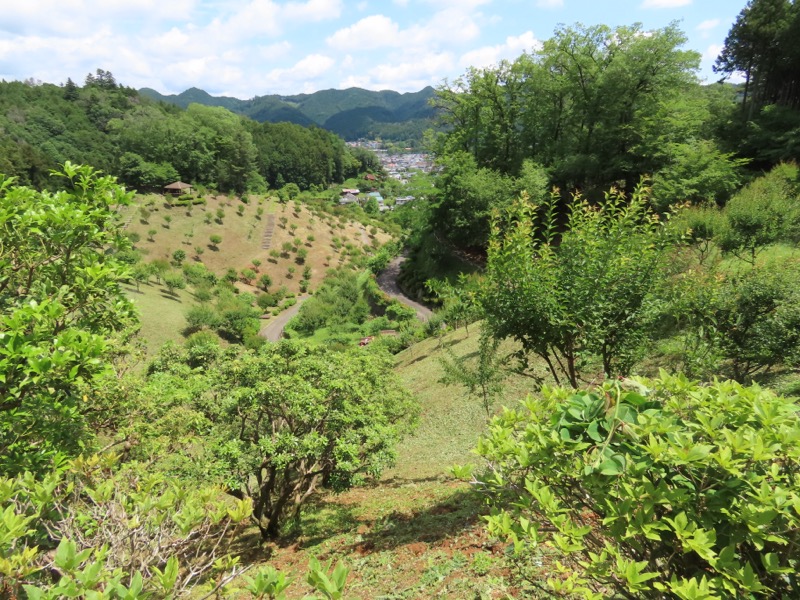 赤ぼっこ、長渕山ハイキングコース