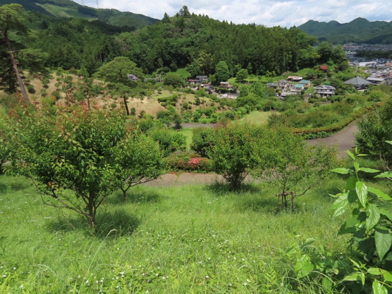 赤ぼっこ、長渕山ハイキングコース