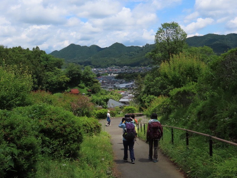 赤ぼっこ、長渕山ハイキングコース