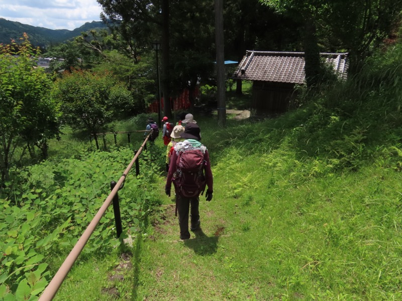 赤ぼっこ、長渕山ハイキングコース