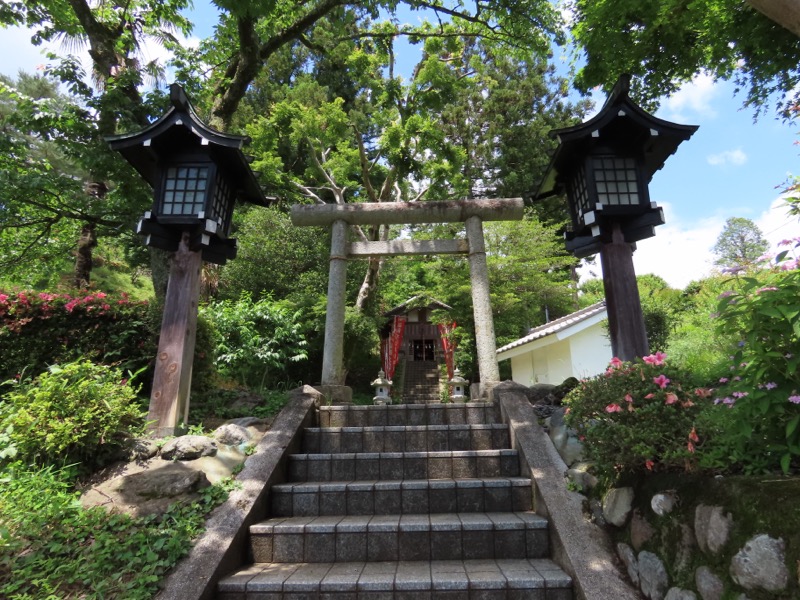 赤ぼっこ、長渕山ハイキングコース