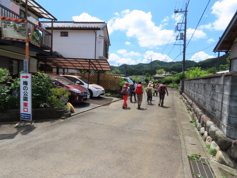 赤ぼっこ、長渕山ハイキングコース