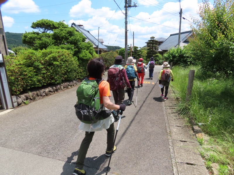 赤ぼっこ、長渕山ハイキングコース