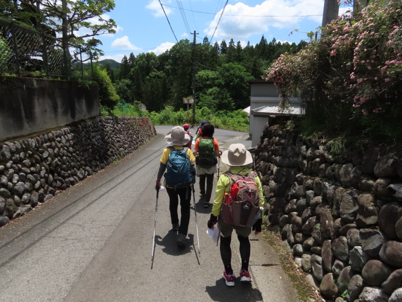 赤ぼっこ、長渕山ハイキングコース