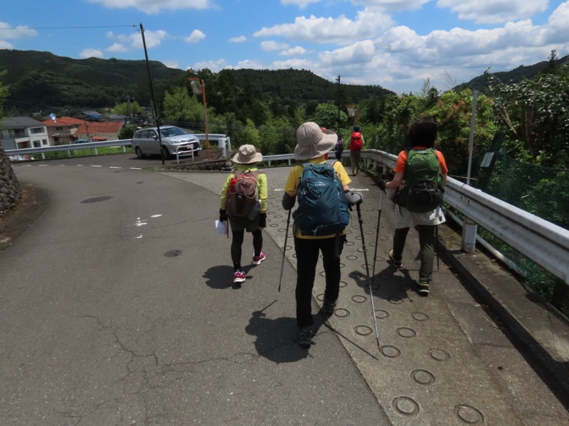 赤ぼっこ、長渕山ハイキングコース