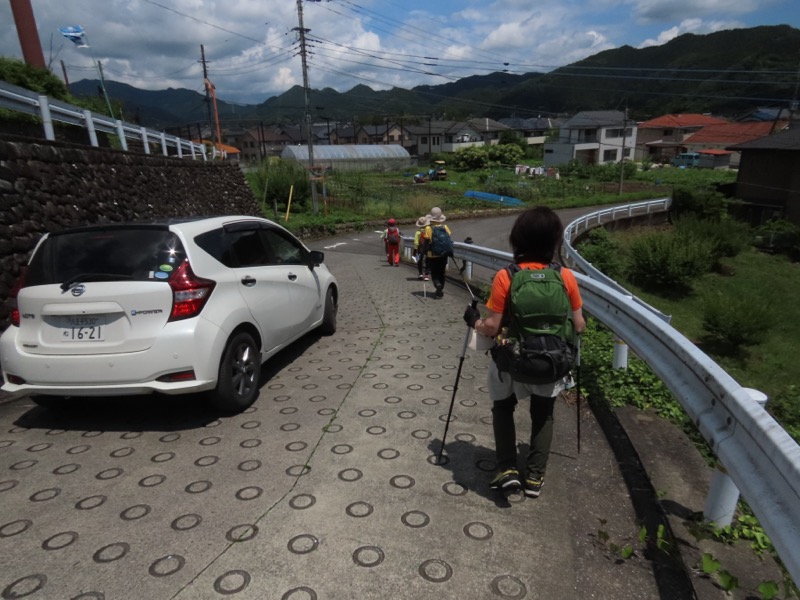 赤ぼっこ、長渕山ハイキングコース