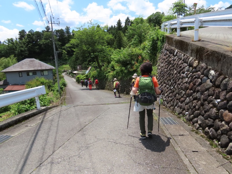 赤ぼっこ、長渕山ハイキングコース