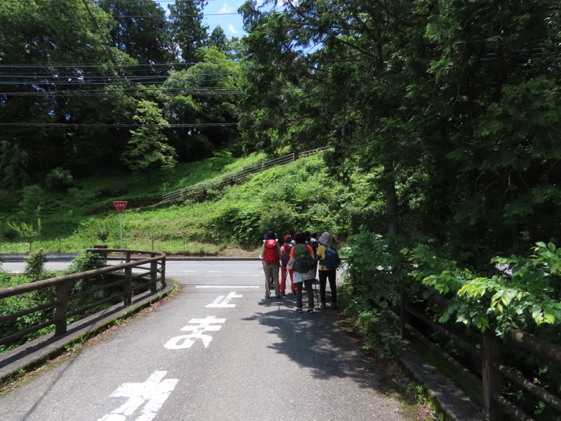 赤ぼっこ、長渕山ハイキングコース