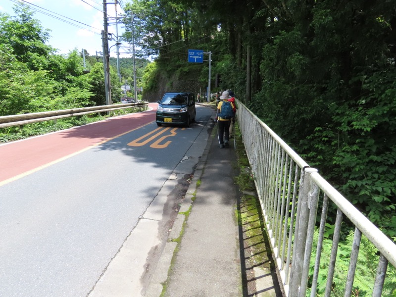 赤ぼっこ、長渕山ハイキングコース