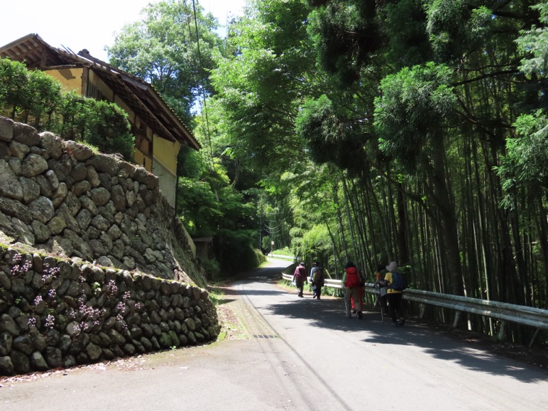 赤ぼっこ、長渕山ハイキングコース