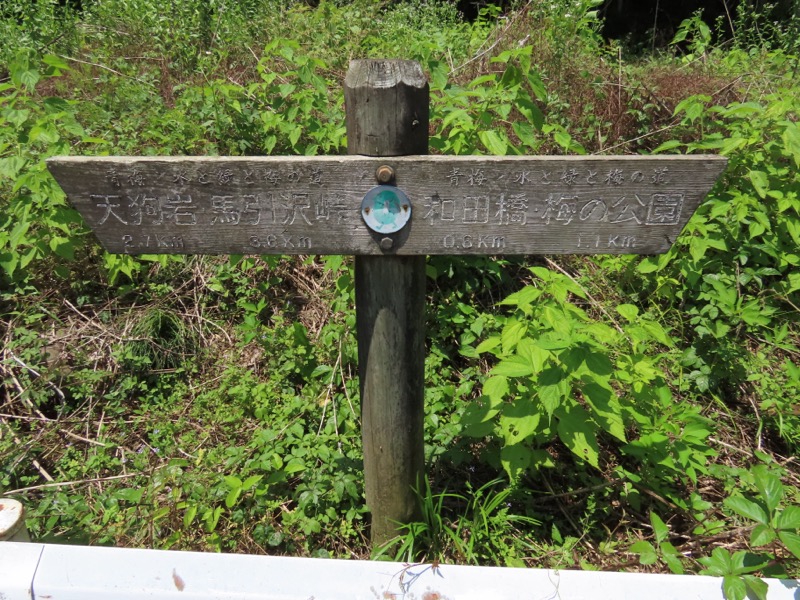 赤ぼっこ、長渕山ハイキングコース