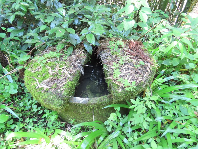 赤ぼっこ、長渕山ハイキングコース