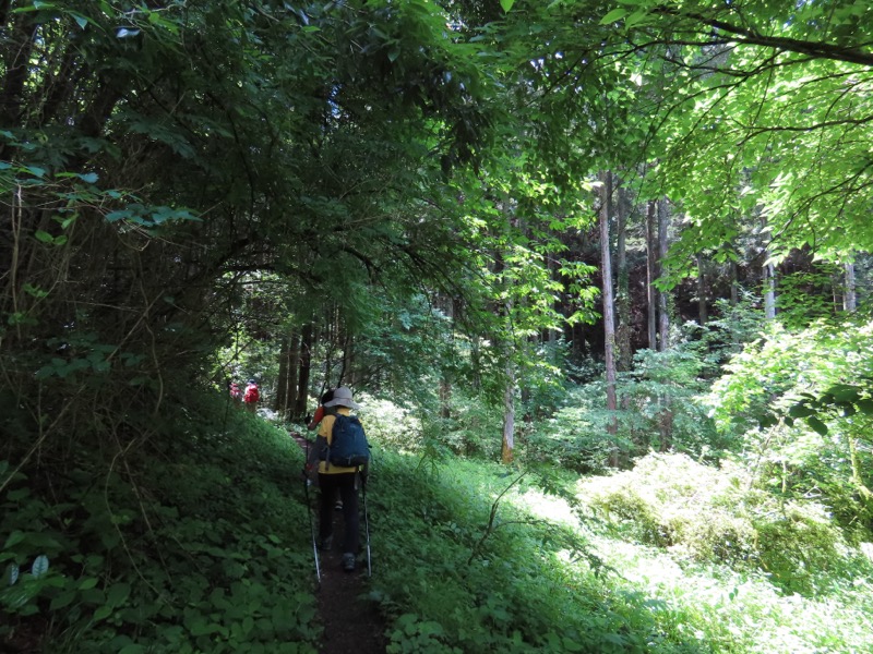 赤ぼっこ、長渕山ハイキングコース