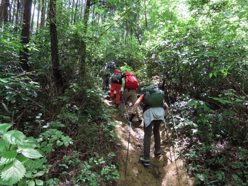 赤ぼっこ、長渕山ハイキングコース