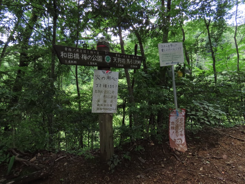 赤ぼっこ、長渕山ハイキングコース