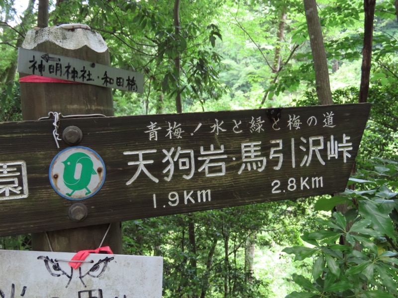 赤ぼっこ、長渕山ハイキングコース