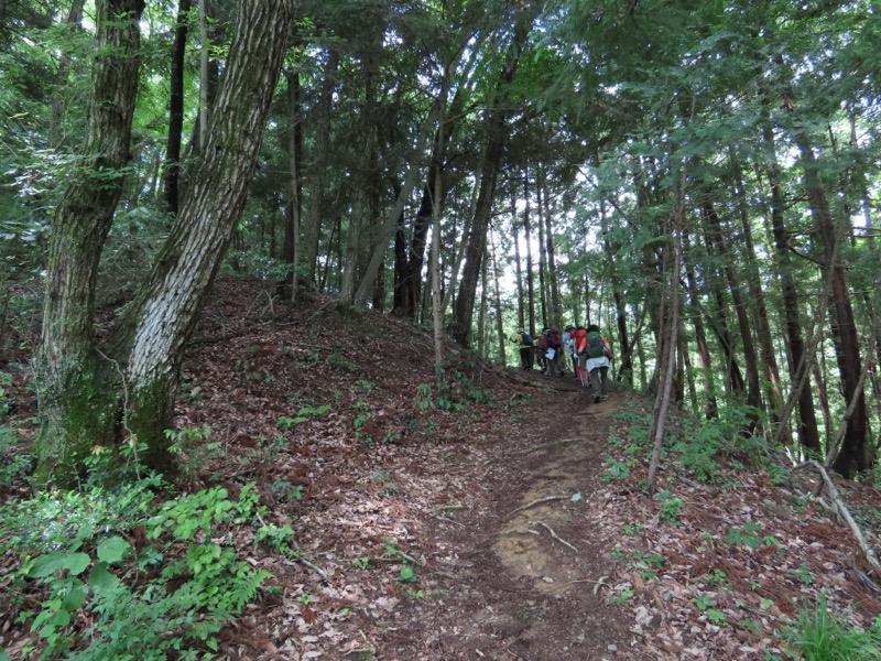 赤ぼっこ、長渕山ハイキングコース